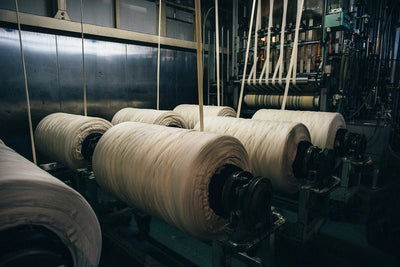3sixteen: The First Shall Be the Last