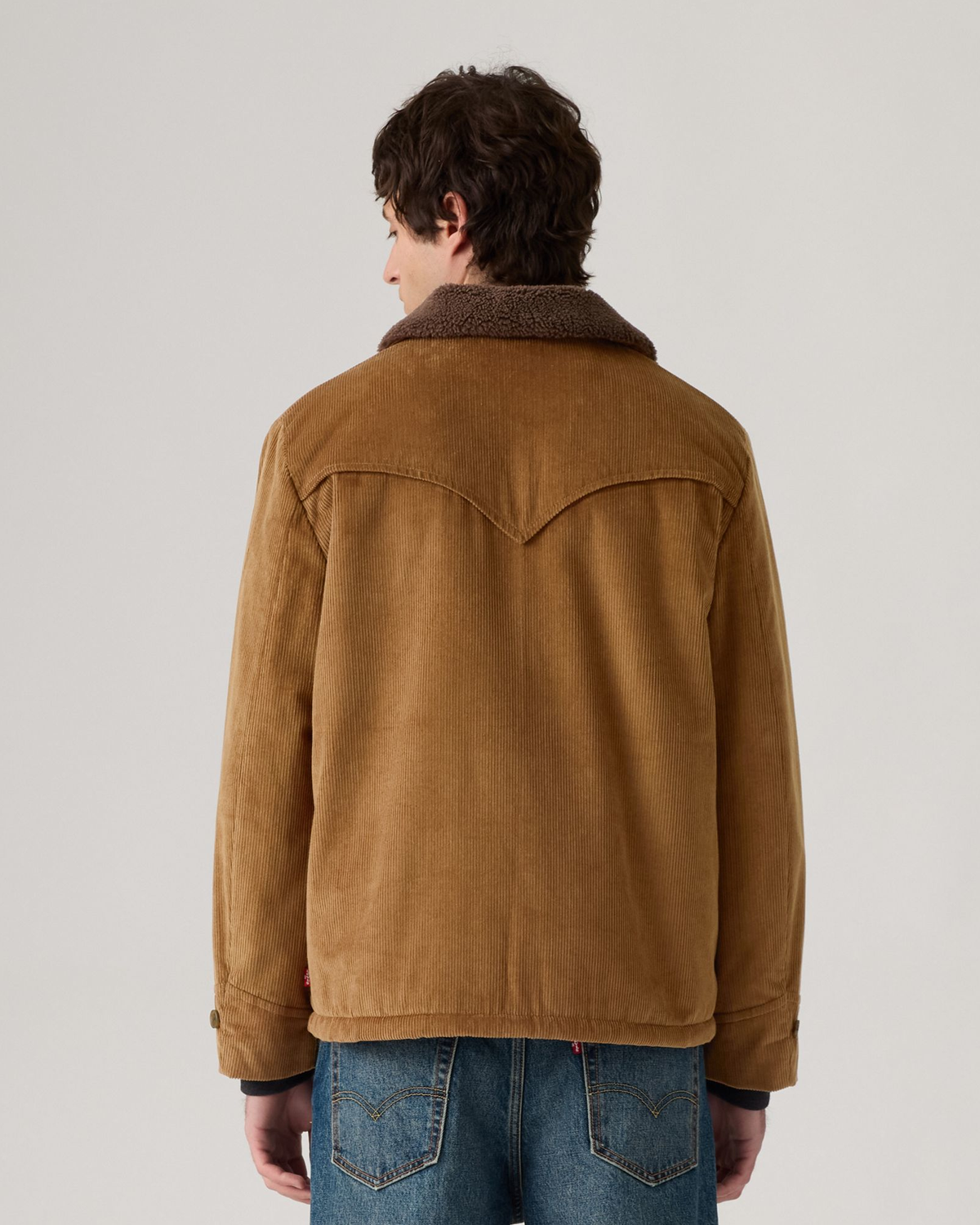 Levi's® Durham Cozy Short Coat - Bison | Levi's® Jackets & Coats | JEANSTORE