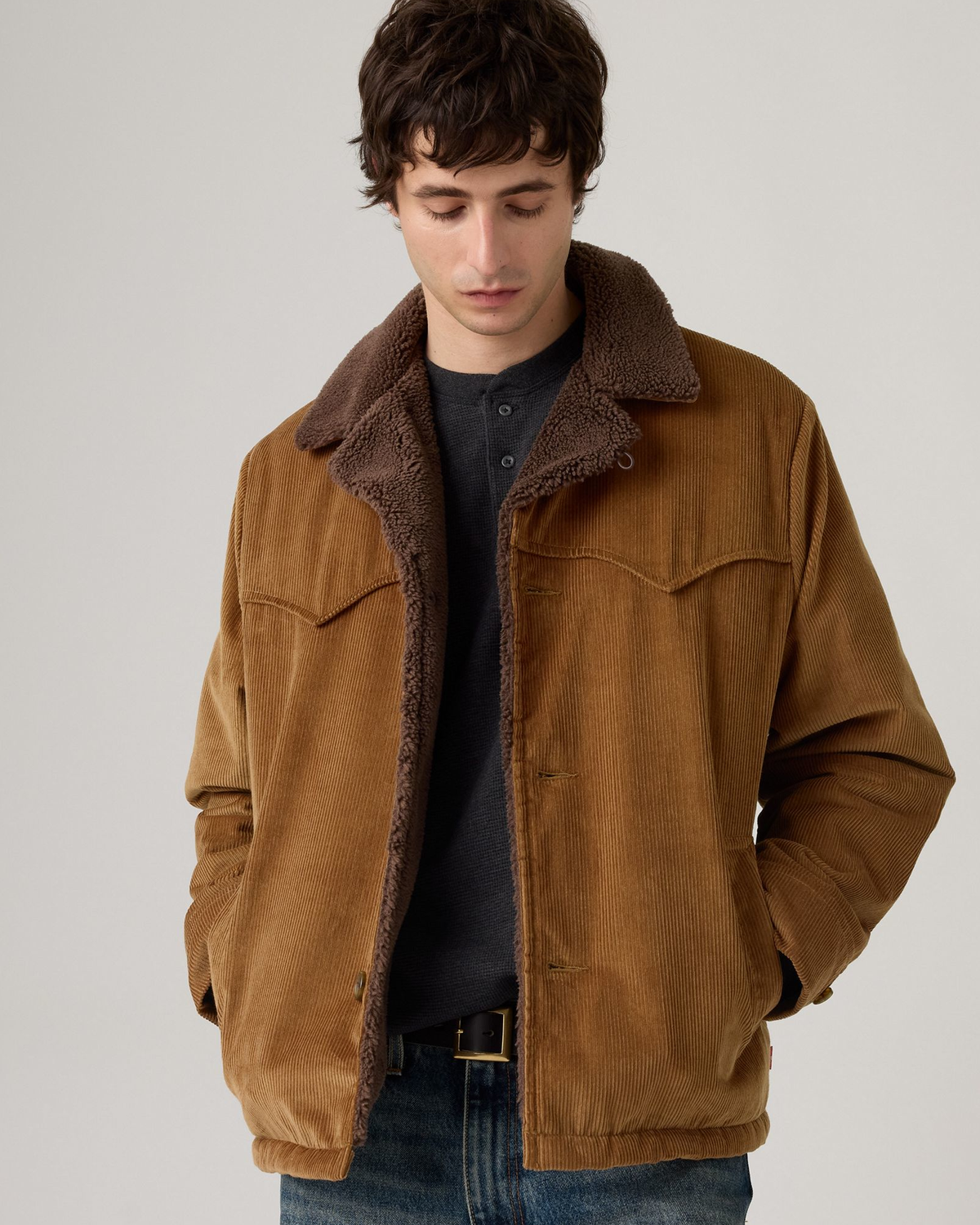 Levi's® Durham Cozy Short Coat - Bison | Levi's® Jackets & Coats | JEANSTORE