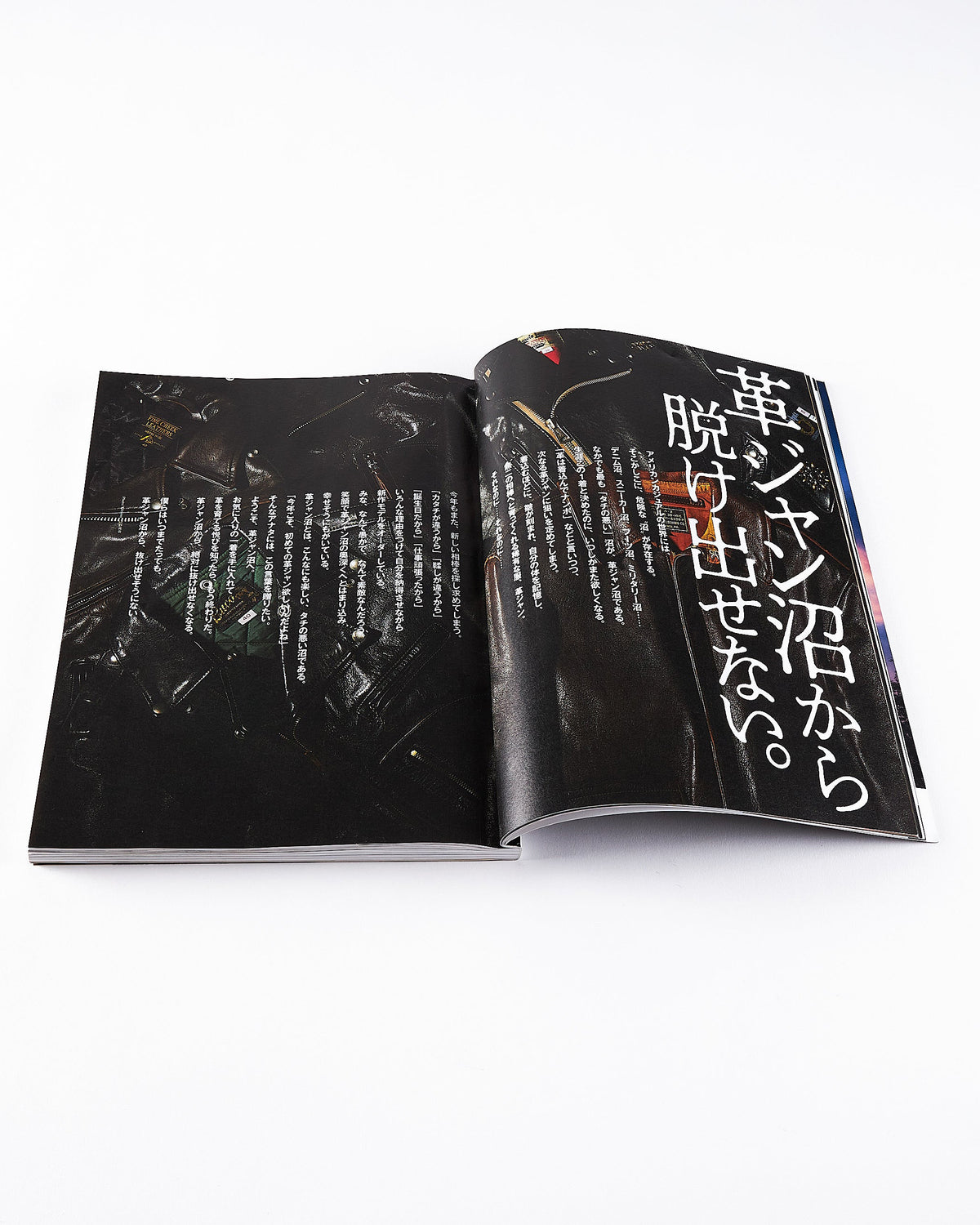 Lightning Magazine Vol. 344 - 2022.12 | World Club Lightning Miscellaneous | JEANSTORE