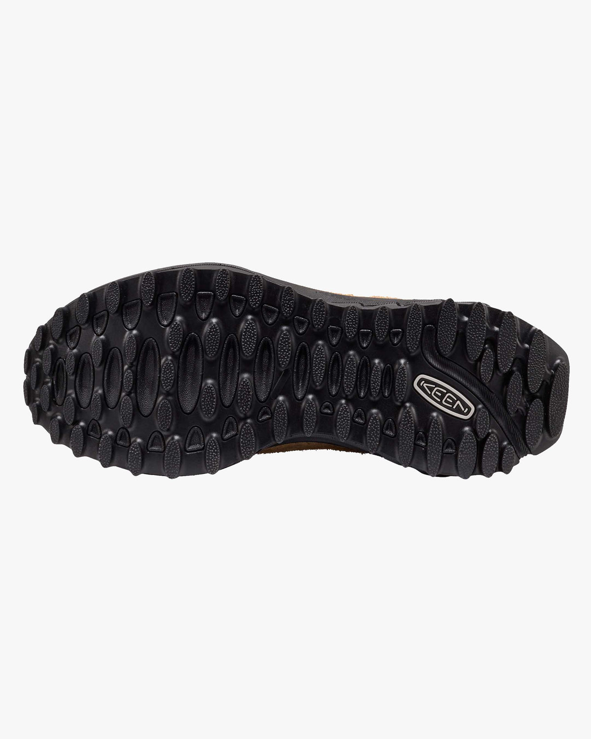 Keen Jasper Zionic Sneaker - Chipmunk / Huckleberry