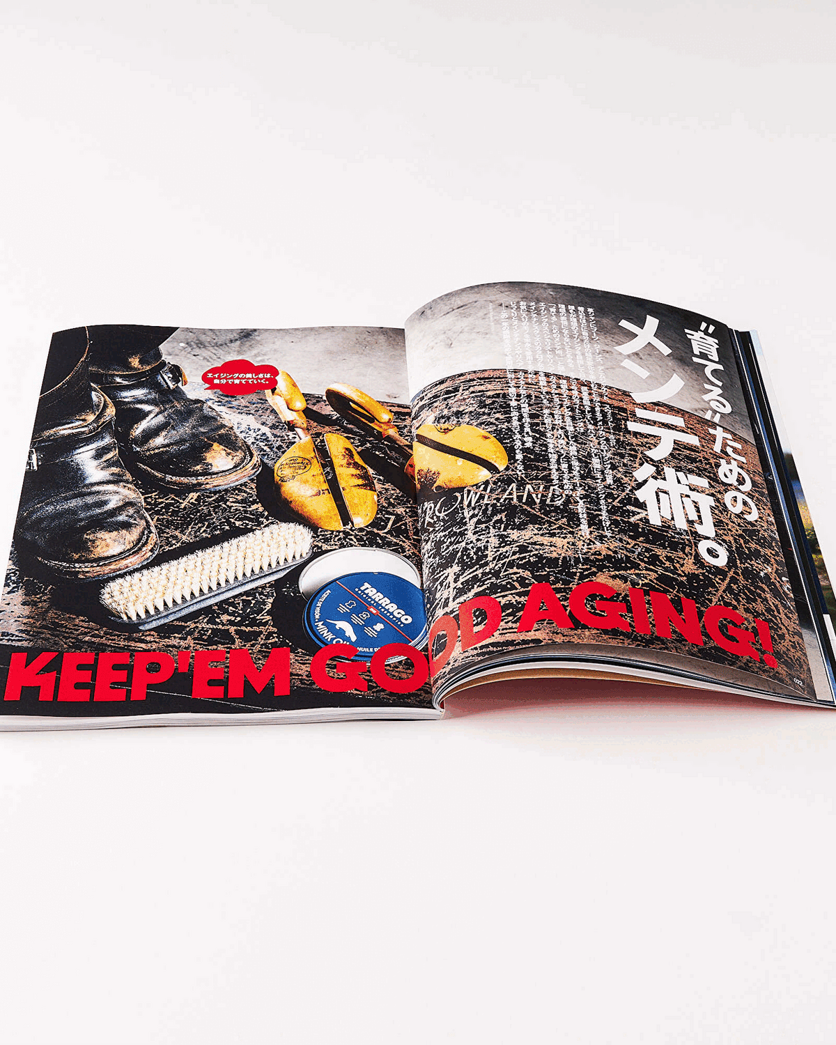 Lightning Magazine Vol. 358 - 2024.2