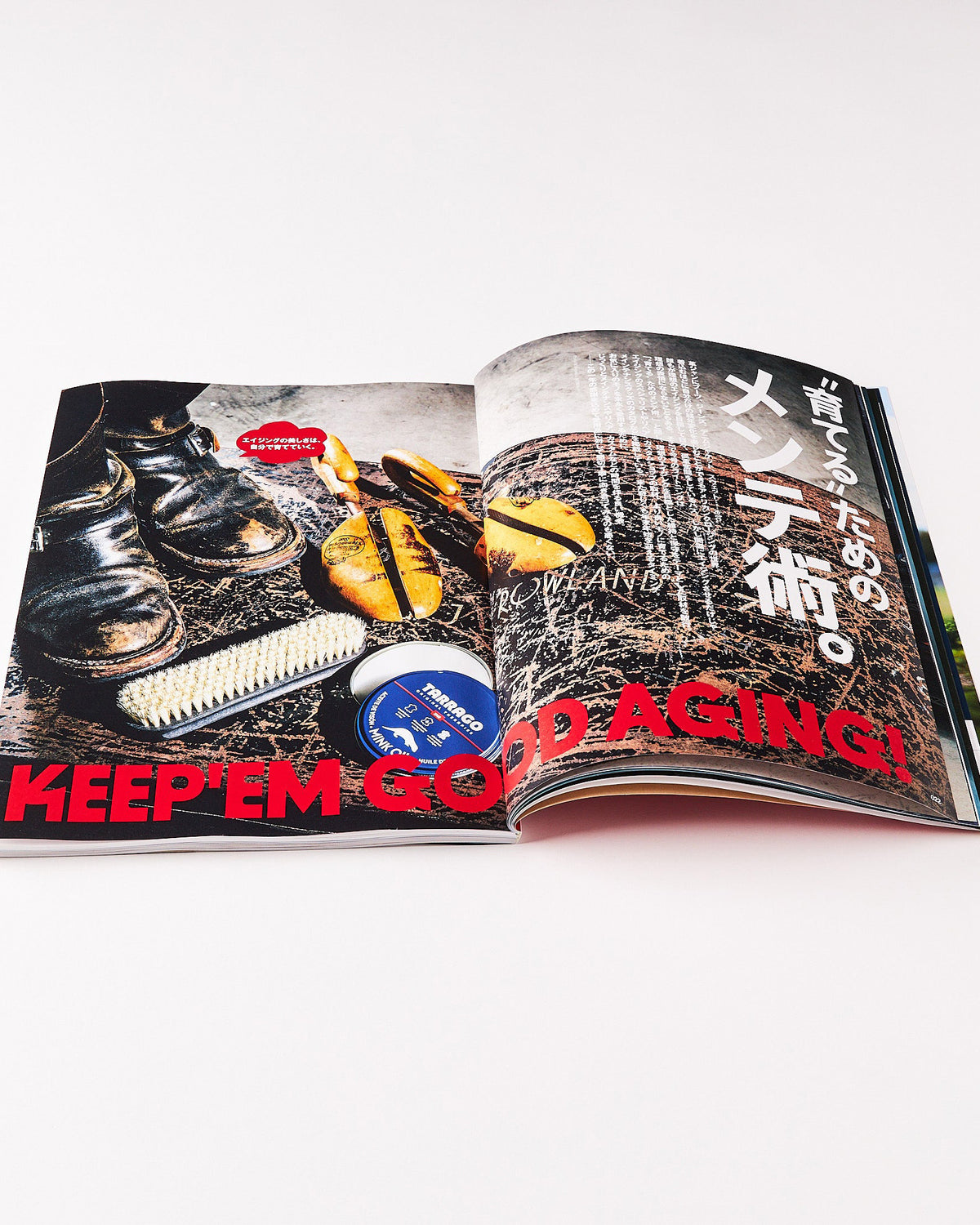 Lightning Magazine Vol. 358 - 2024.2