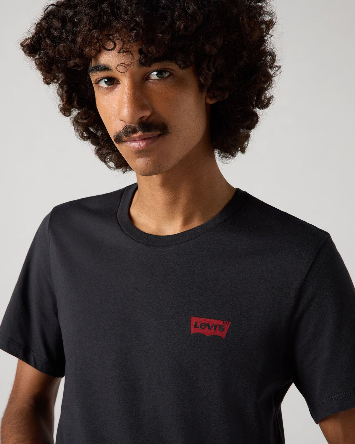 Levi's® 2-Pack Housemark Graphic Crewneck Tees - White / Caviar | Levi's® T Shirts | JEANSTORE