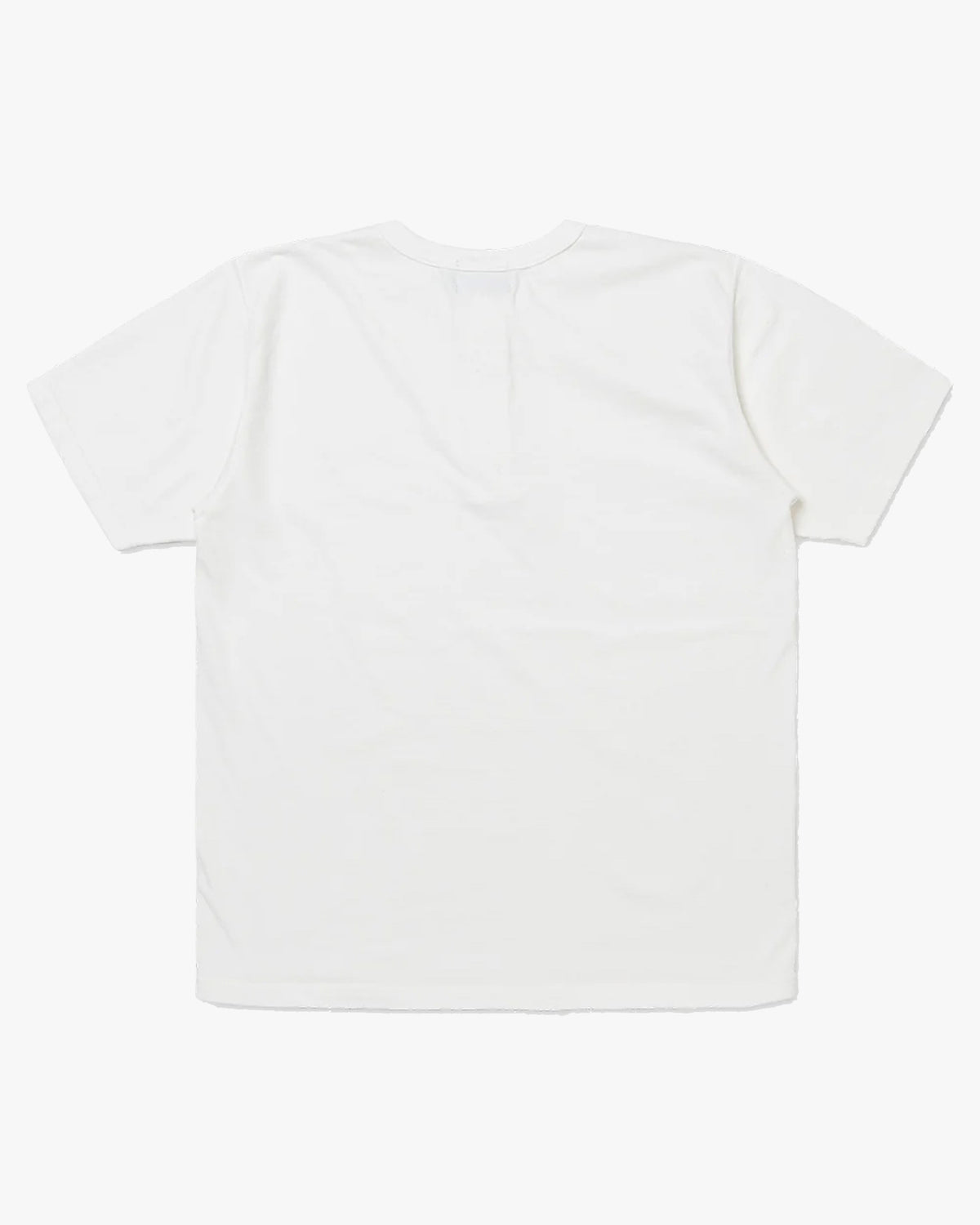 Studio D'Artisan 8174 Suvin Gold Seamless Henley - White
