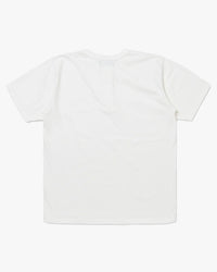 Studio D'Artisan 8174 Suvin Gold Seamless Henley - White