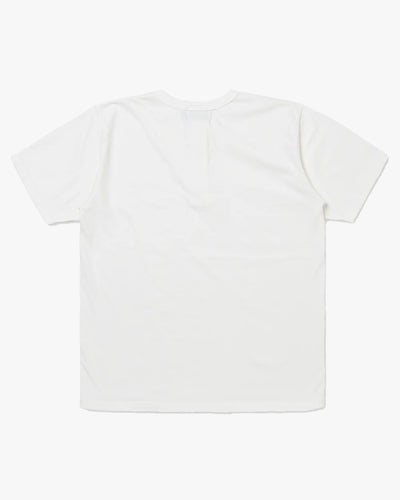 Studio D'Artisan 8174 Suvin Gold Seamless Henley - White