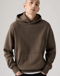 Levi's® Authentic Hoodie - Maitake Brown GD | Levi's® Sweaters & Knitwear | JEANSTORE