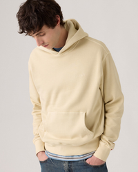 Levi's® Authentic Hoodie - Fog GD | Levi's® Sweaters & Knitwear | JEANSTORE
