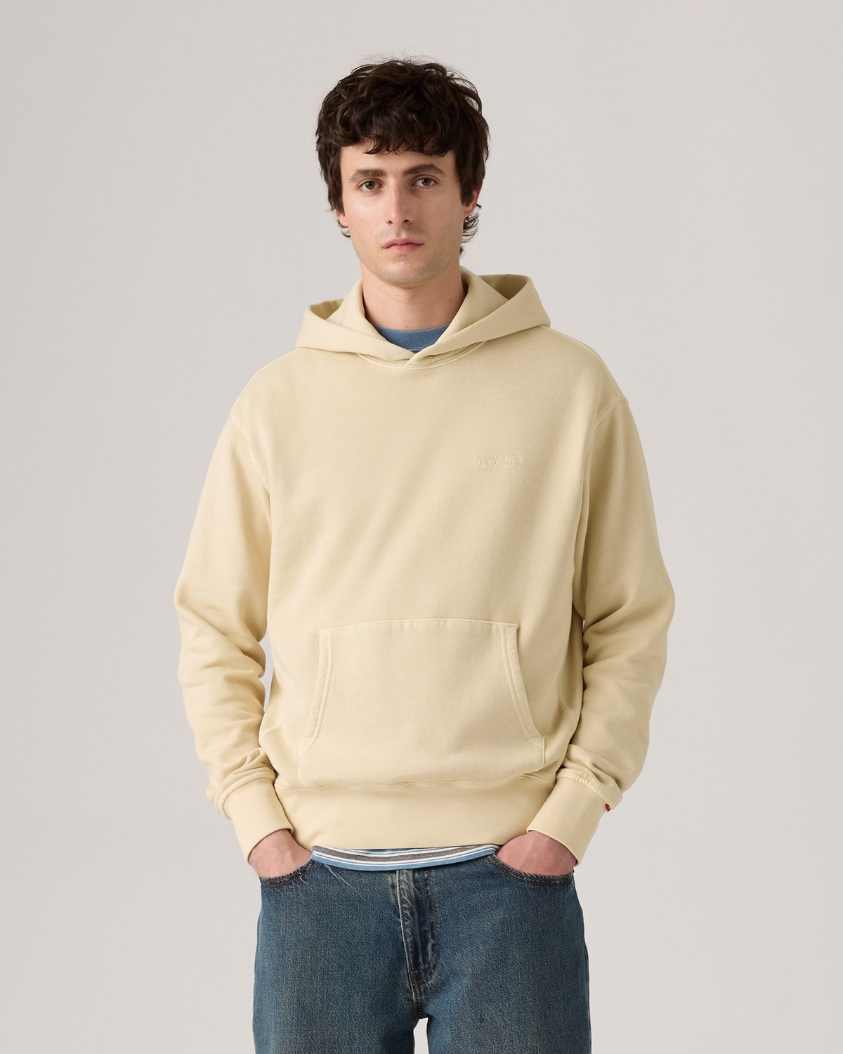 Levi's® Authentic Hoodie - Fog GD | Levi's® Sweaters & Knitwear | JEANSTORE