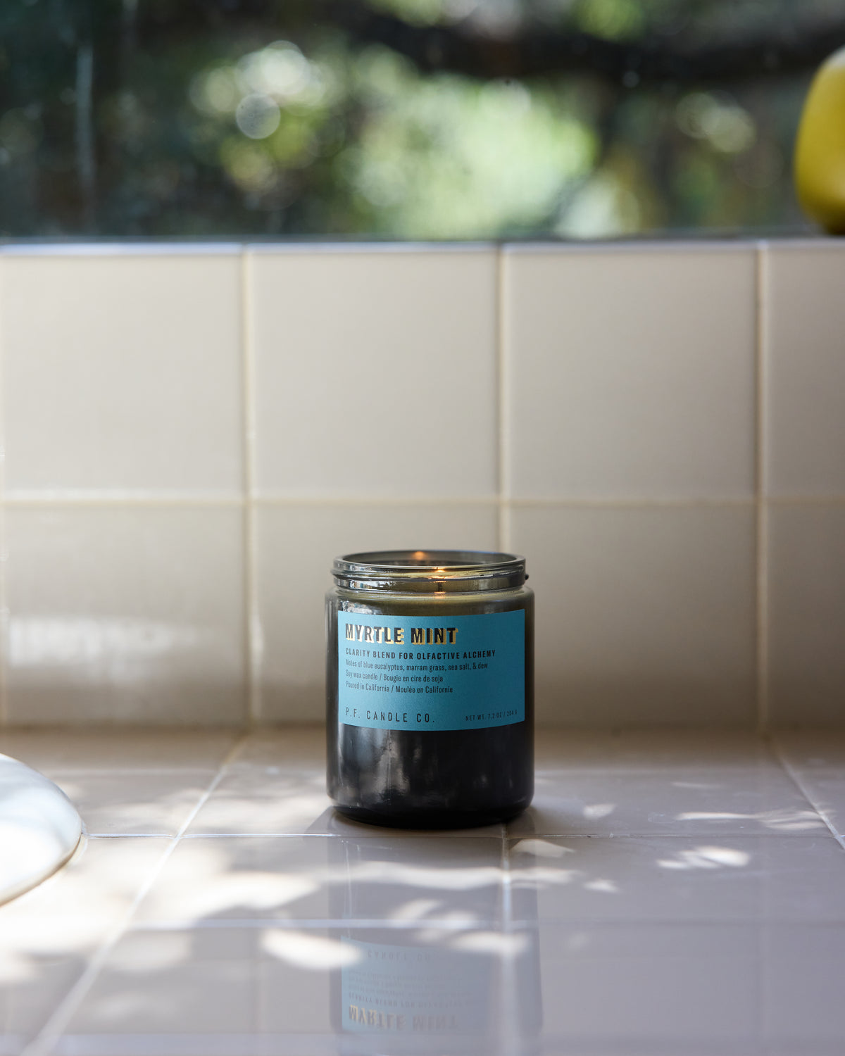P.F. Candle Co. 7.2oz Alchemy Standard Jar Candle - Myrtle Mint | P.F. Candle Co. Lifestyle | JEANSTORE