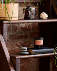 P.F. Candle Co. 7.2oz Alchemy Standard Jar Candle - Bergamot Shiso | P.F. Candle Co. Lifestyle | JEANSTORE