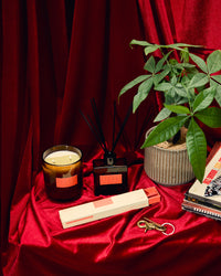 P.F. Candle Co. HI-FI Incense Sticks - Blonde Hinoki | P.F. Candle Co. Miscellaneous | JEANSTORE
