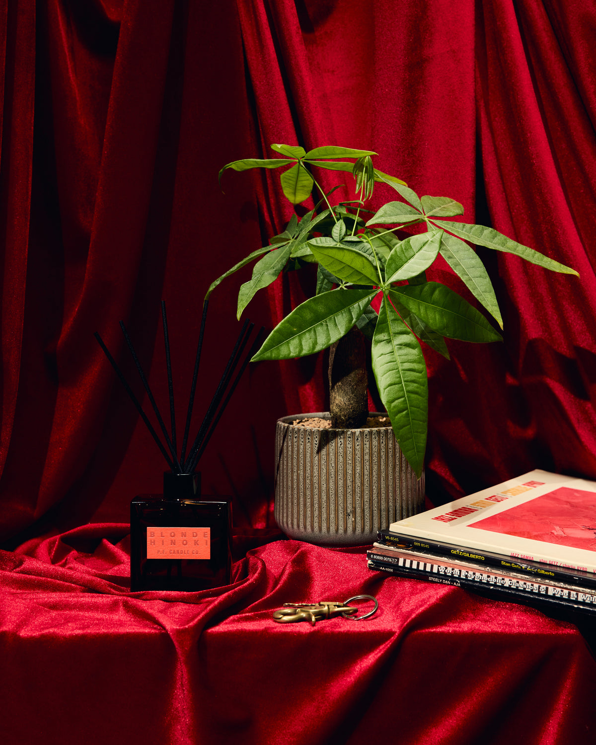 P.F. Candle Co. HI-FI Reed Diffuser - Blonde Hinoki | P.F. Candle Co. Lifestyle | JEANSTORE