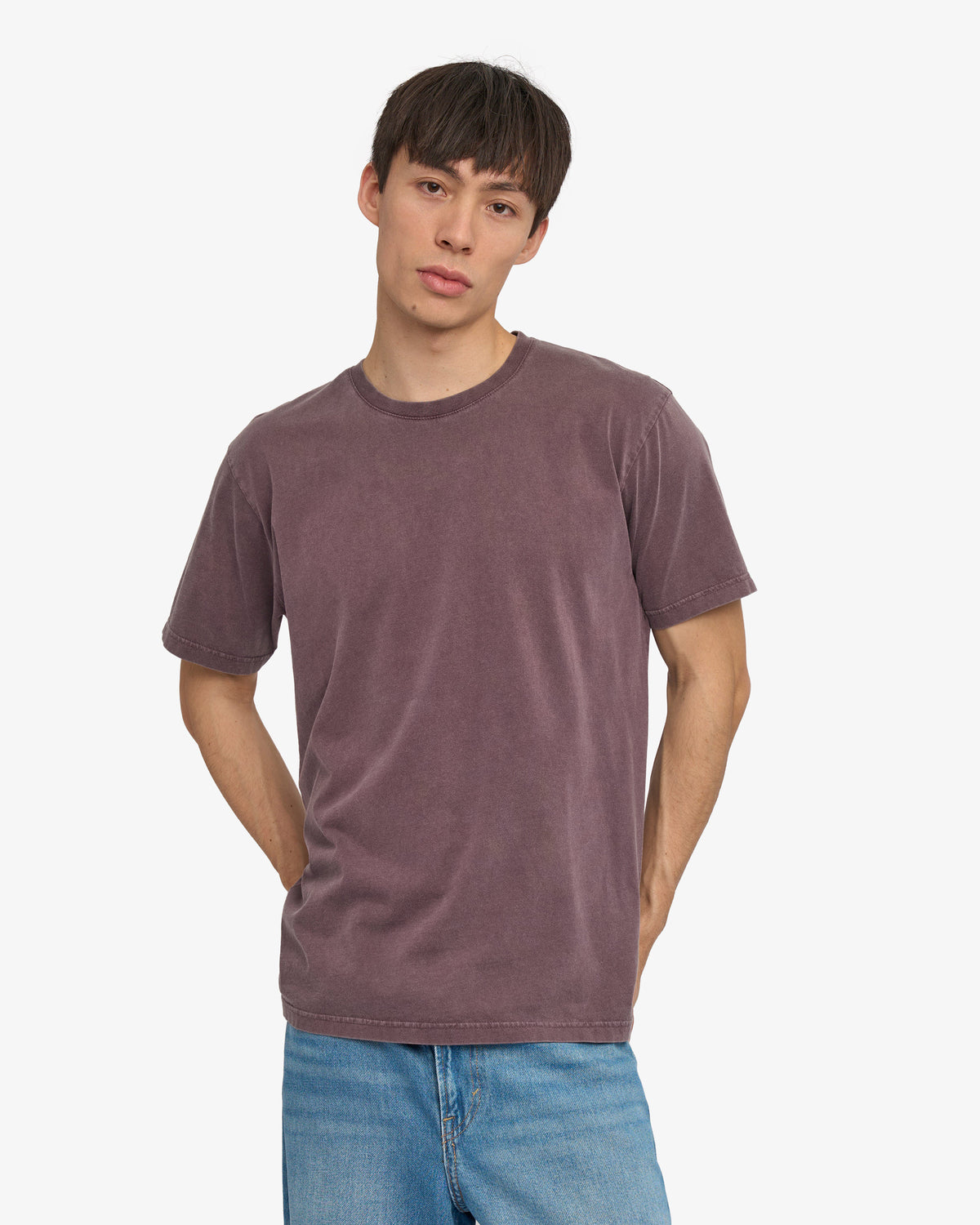 Colorful Standard Classic Organic Tee - Faded Grape