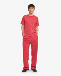 Colorful Standard Classic Organic Tee - Faded Red
