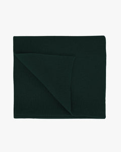 Colorful Standard Merino Wool Scarf - Emerald Green