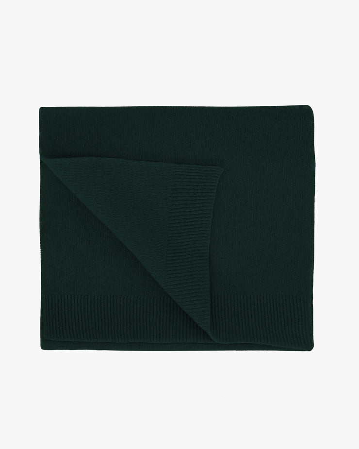 Colorful Standard Merino Wool Scarf - Emerald Green
