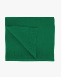 Colorful Standard Merino Wool Scarf - Kelly Green