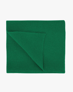 Colorful Standard Merino Wool Scarf - Kelly Green