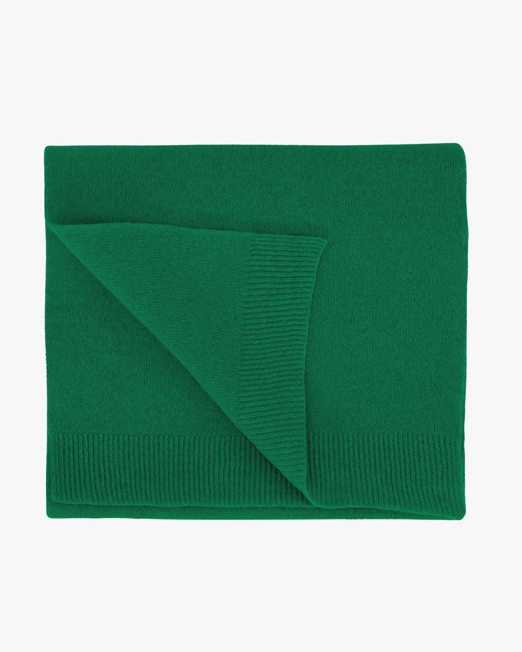Colorful Standard Merino Wool Scarf - Kelly Green