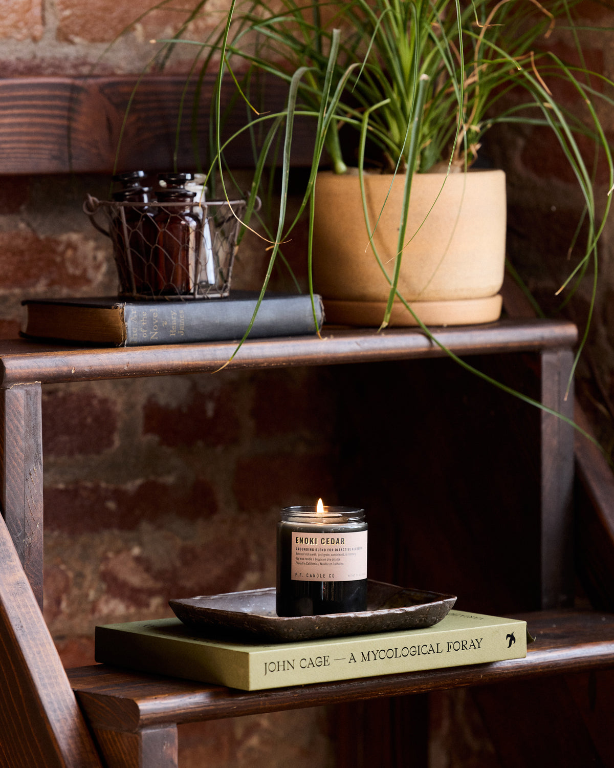 P.F. Candle Co. 7.2oz Alchemy Standard Jar Candle - Enoki Cedar | P.F. Candle Co. Miscellaneous | JEANSTORE