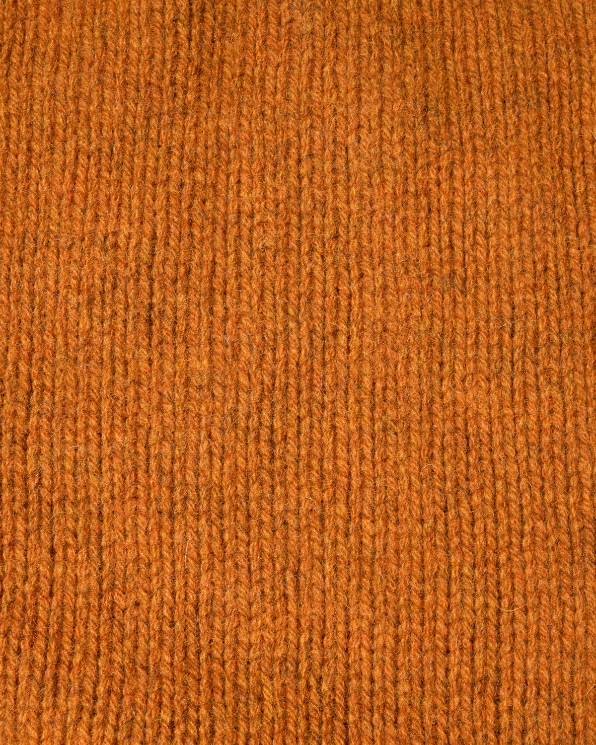 Harley of Scotland Heavy Supersoft Crew Neck Sweater - Amber | Harley of Scotland Sweaters & Knitwear | Jeanstore
