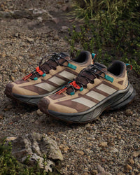 Adidas Terrex Freehiker SL GORE-TEX - Earth Strata / Beige