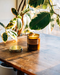 P.F. Candle Co. 12.5oz Large Concentrated Candle - Amber & Moss | P.F. Candle Co. Miscellaneous | JEANSTORE