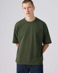 Levi's® Heavyweight Loose Tee - Rosin GD