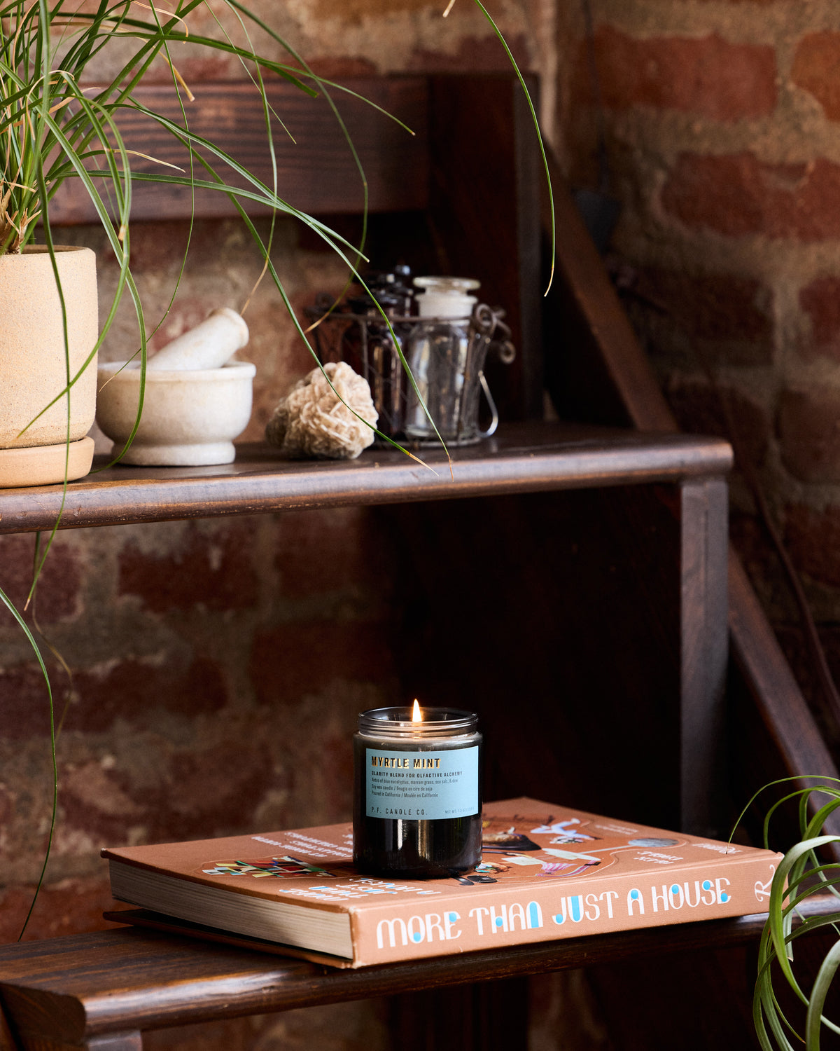 P.F. Candle Co. 7.2oz Alchemy Standard Jar Candle - Myrtle Mint | P.F. Candle Co. Lifestyle | JEANSTORE
