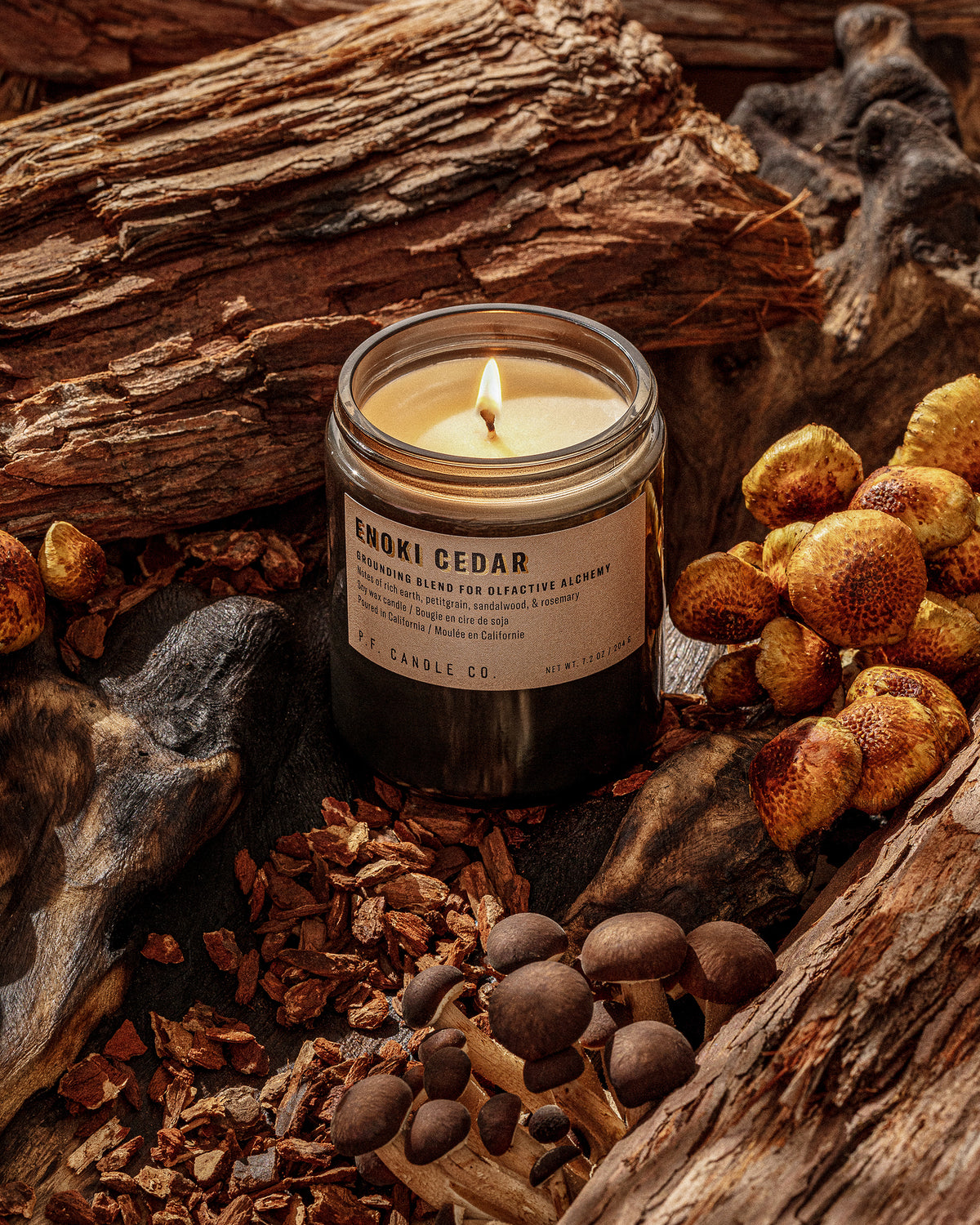 P.F. Candle Co. 7.2oz Alchemy Standard Jar Candle - Enoki Cedar | P.F. Candle Co. Miscellaneous | JEANSTORE