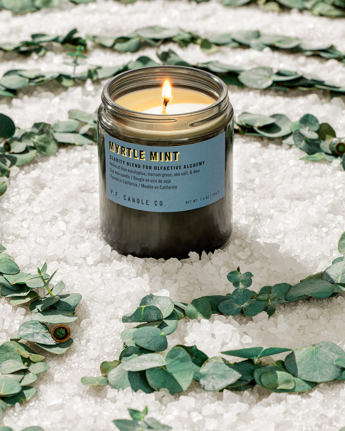 P.F. Candle Co. 7.2oz Alchemy Standard Jar Candle - Myrtle Mint | P.F. Candle Co. Lifestyle | JEANSTORE