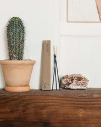 P.F. Candle Co. Incense Sticks - Patchouli Sweetgrass | P.F. Candle Co. Miscellaneous | JEANSTORE