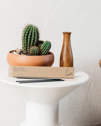 P.F. Candle Co. Incense Sticks - Golden Coast | P.F. Candle Co. Miscellaneous | JEANSTORE