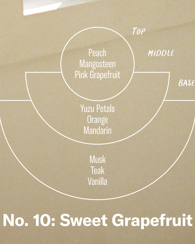 P.F. Candle Co. 7.2oz Standard Jar Candle - Sweet Grapefruit | P.F. Candle Co. Miscellaneous | JEANSTORE