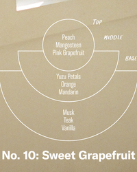 P.F. Candle Co. 7.2oz Standard Jar Candle - Sweet Grapefruit | P.F. Candle Co. Miscellaneous | JEANSTORE