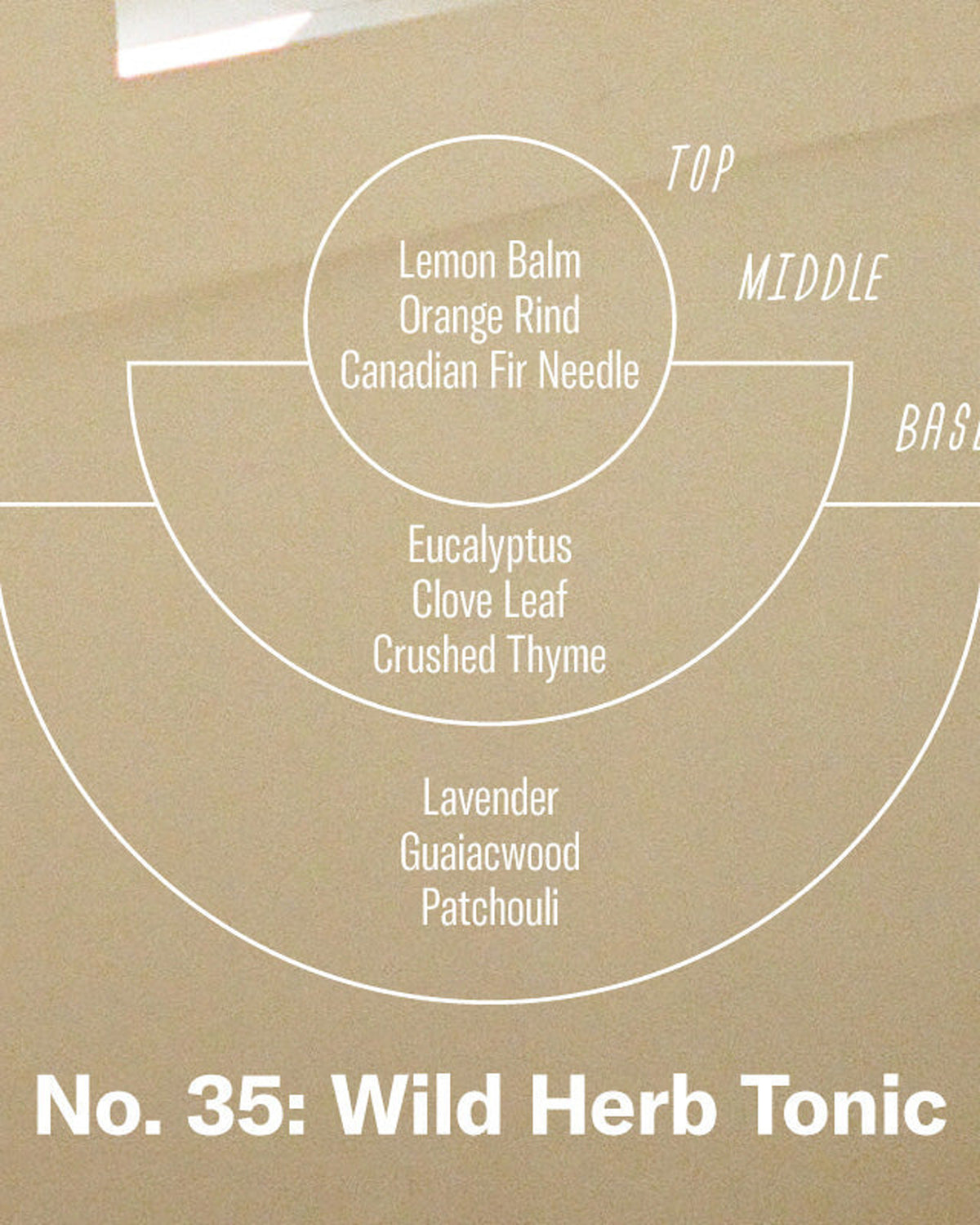 P.F. Candle Co. Incense Sticks - Wild Herb Tonic | P.F. Candle Co. Miscellaneous | JEANSTORE