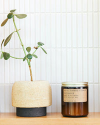 P.F. Candle Co. 7.2oz Standard Jar Candle - Teakwood & Tobacco | P.F. Candle Co. Miscellaneous | JEANSTORE