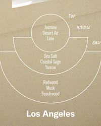 P.F. Candle Co. 7.2oz Standard Jar Candle - Los Angeles | P.F. Candle Co. Miscellaneous | JEANSTORE