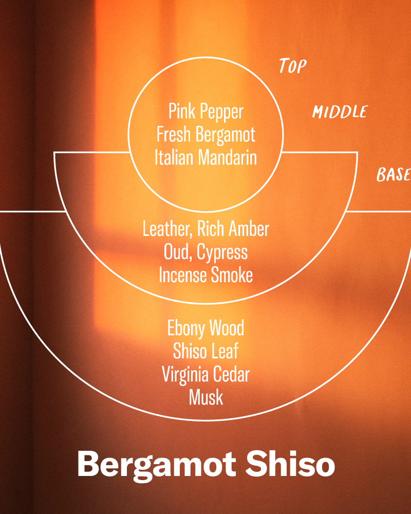 P.F. Candle Co. Alchemy Reed Diffuser - Bergamot Shiso | P.F. Candle Co. Lifestyle | JEANSTORE