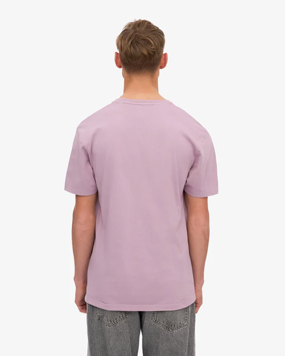 Colorful Standard Classic Organic Tee - Pearly Purple
