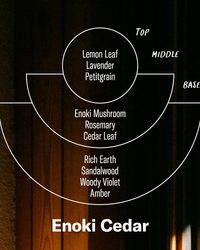 P.F. Candle Co. Alchemy Reed Diffuser - Enoki Cedar | P.F. Candle Co. Lifestyle | JEANSTORE