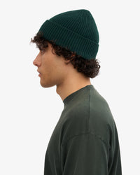 Colorful Standard Merino Wool Beanie - Emerald Green
