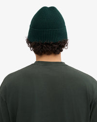 Colorful Standard Merino Wool Beanie - Emerald Green