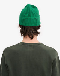 Colorful Standard Merino Wool Beanie - Kelly Green | Colorful Standard Hats | Jeanstore