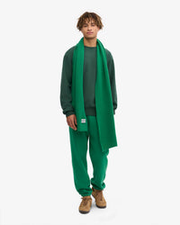 Colorful Standard Merino Wool Scarf - Kelly Green