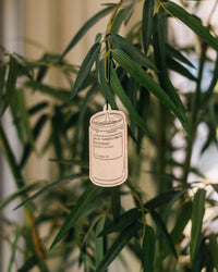 P.F. Candle Co. Air Freshener 2pk - Teakwood & Tobacco