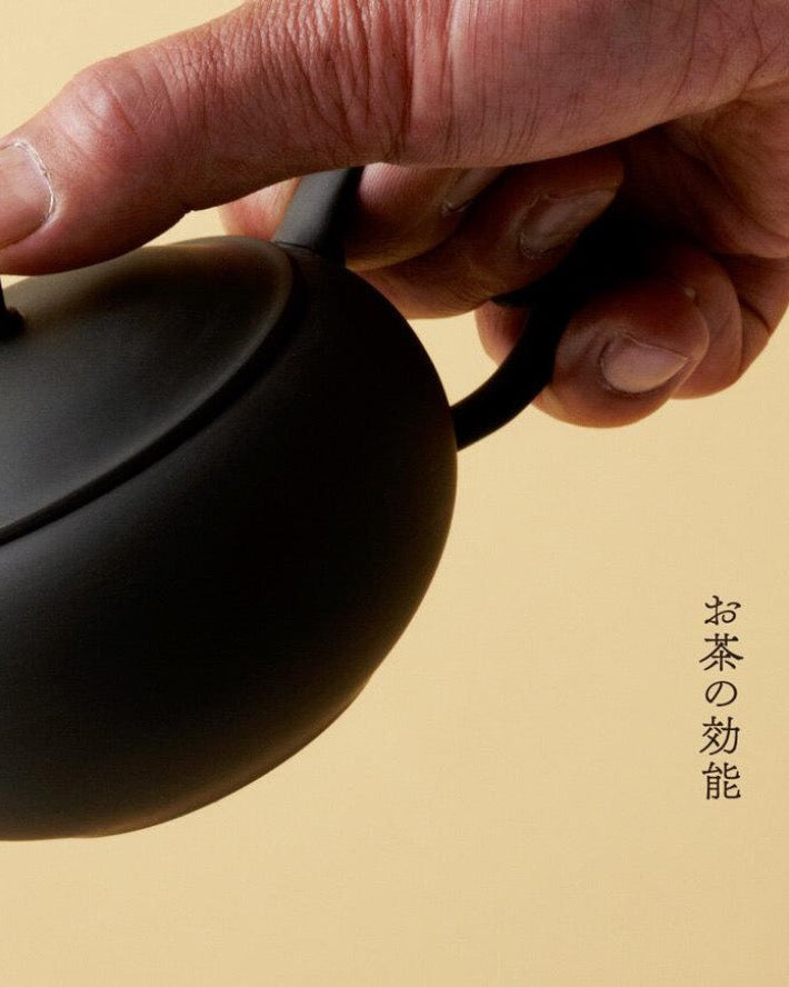 Japan Best Azmaya Hirakyusu Tea Pot L - Black | Japan Best Lifestyle | JEANSTORE
